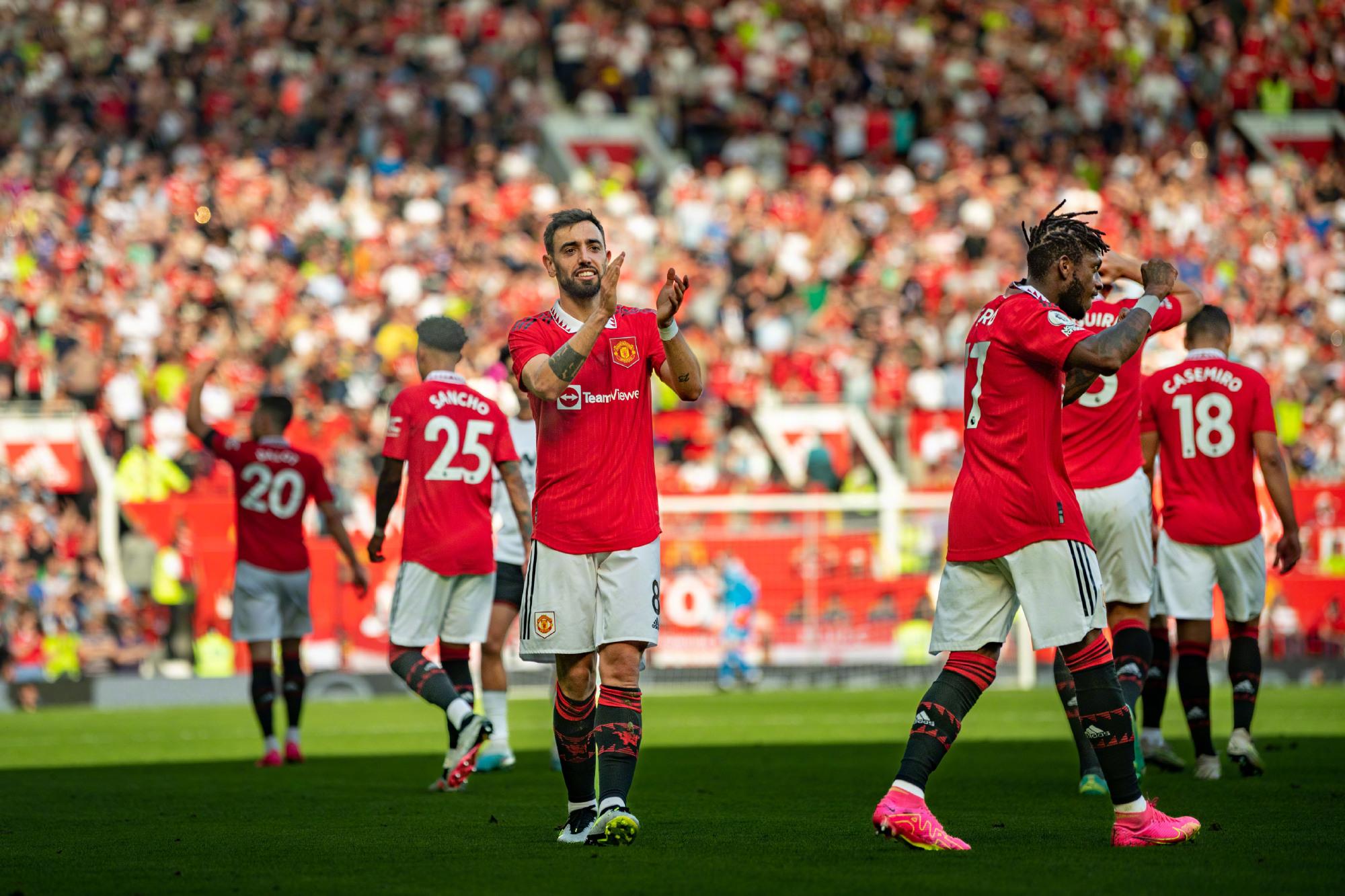 还揭示了对 还揭示了对